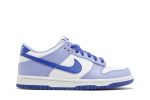 (GS) Nike Dunk Low Blueberry DZ4456-100 CVST