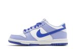 (GS) Nike Dunk Low Blueberry DZ4456-100 CVST