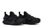 Nike ACG Mountain Fly Low Gore-Tex SE Black Volt DD2861-002 CVST