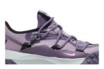 Nike ACG Mountain Fly Low SE Canyon Purple DQ1979-500 CVST