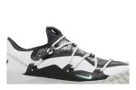 Nike ACG Mountain Fly Low SE White Anthracite DO9334-100 CVST