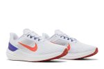 Nike Air Winflo 9 Grey Concord DD6203-006 CVST