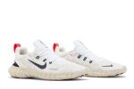 Nike Free Run 5.0 White Obsidian CZ1884-103 CVST