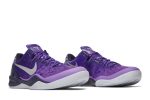 Nike Kobe 8 Playoffs Purple Platinum 555035-500 CVST