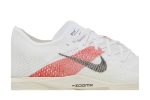 Nike ZoomX VaporFly Next% 3 Eliud Kipchoge FD6556-100 CVST