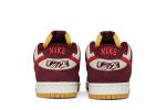 Skate Like a Girl x Nike SB Dunk Low Pro DX4589-600 CVST