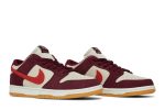 Skate Like a Girl x Nike SB Dunk Low Pro DX4589-600 CVST