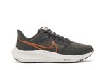 (W) Nike Air Winflo 9 Grey Metallic Copper DH4072-007 CVST