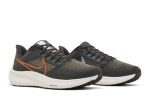 (W) Nike Air Winflo 9 Grey Metallic Copper DH4072-007 CVST