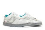 (W) Nike Dunk Low Ice DO2326-001 CVST